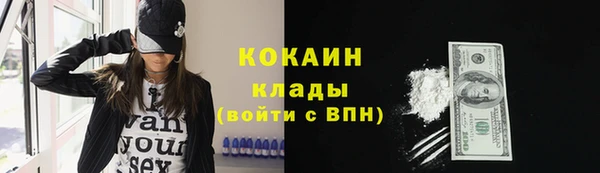 шишки Бугульма
