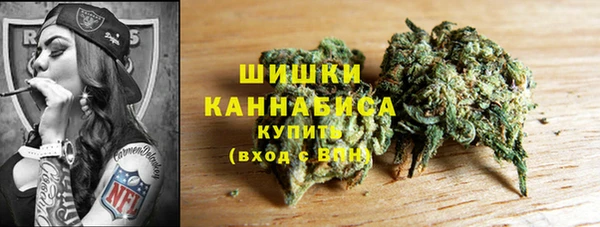 шишки Бугульма