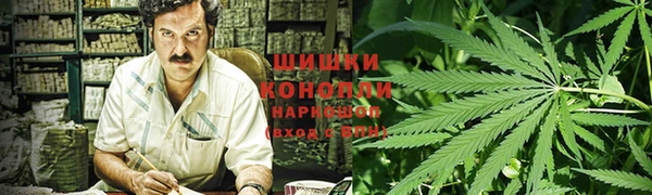 шишки Бугульма
