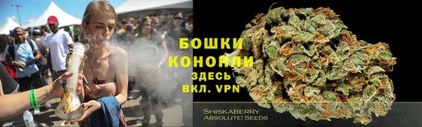 шишки Бугульма